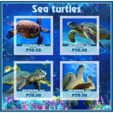 Fauna sea turtles